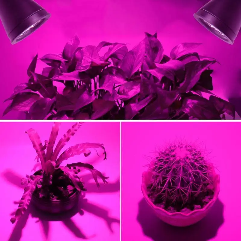 Vælg Torrent Sjov På tilbud! 16 led solar planter til at gro lys haven drivhus blomst  vegetabilske pære lampe sol planter til at gro lys voksende plante lampe  lampe < LED-Belysning \ Trekloeveret.dk