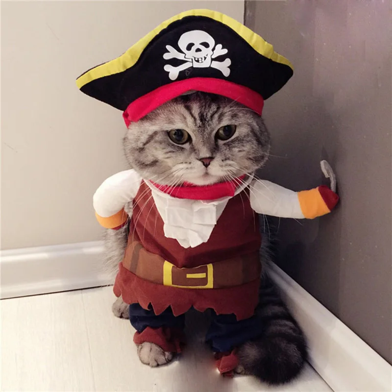 efter skole At lyve pensum På tilbud! Sjove katte kostumer, pirat passer kat tøj corsair halloween  kostume hvalp passer dressing op tøj til katte < engros \ Trekloeveret.dk