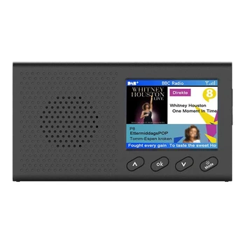 DAB-Radio med 2,4 Tommer Farve-LCD-Sn Genopladelige Håndholdt Digital FM, DAB MP3-Afspiller Digital Tuner Broadcast